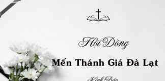 Ai Tín: Xin Hợp Ý Cầu Nguyện Cho Thân Phụ Chị Têrêxa Vũ Thị Mỹ Châu và Chị Têrêxa Vũ Thị Thanh Thảo