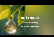 Suy Niệm Tin Mừng Chúa Nhât III, Mùa Chay, Năm A: Khát vọng