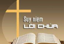 Đôi mắt – Cách nhìn – Lối nghĩ suy – Màu hồng giữa rừng chàm tím lam