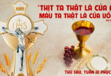 Thứ Sáu, tuần 3 Phục Sinh