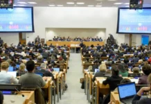 NHỮNG NGƯỜI BẢO VỆ SỰ SỐNG TIẾP TỤC GIÀNH THẮNG LỢI TẠI HỘI NGHỊ LIÊN HIỆP QUỐC