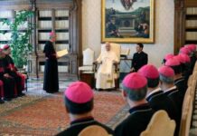 Các Giám Mục Việt Nam Tại Rôma: Một Giáo Hội Hiệp Thông Và Hy Vọng