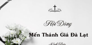 Ai Tín: Xin Hợp Ý Cầu Nguyện Cho Thân Mẫu Chị Maria Lương Thị Hường