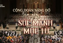 Cộng đoàn nâng đỡ làm nên sức mạnh mục tử
