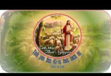 Chúa Nhật VI Phục Sinh – Năm A: Sống tình yêu mến giữa thế gian