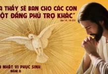 CHÚA NHẬT 6 PHỤC SINH (Ngày của Mẹ)