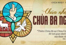 CHÚA NHẬT 9 TN: LỄ CHÚA BA NGÔI/ A