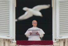Magnifica Humanitas: Trước Đức Lêô XIV, Các Giáo Hoàng Nói Gì Trong Các Thông Điệp Đầu Tiên Của Mình?