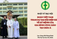 NHẬT KÝ ĐẠI HỘI: ĐOÀN VIỆT NAM THAM DỰ ĐẠI HỘI HIỆP HÀNH VỀ SỨ MỆNH CỦA GIA ĐÌNH CÔNG GIÁO TẠI CHÂU Á