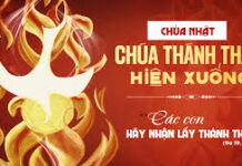LỄ CHÚA THÁNH THẦN HIỆN XUỐNG