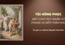 TỘI HỒNG PHÚC: MỘT CHÚT SUY NGẪM TỪ PHỤNG VỤ ĐẾN THẦN HỌC