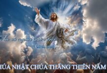 Suy Niệm LỄ CHÚA THĂNG THIÊN – NĂM A : Hy vọng trên trời – Dấn thân dưới thế