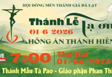 Thánh Lễ Tạ Ơn Hồng Ân Vĩnh Khấn và Kỷ Niệm Khấn Dòng
