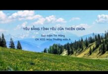 Suy Niệm Tin Mừng Chúa Nhật XIII Thường Niên, Năm A: Yêu Bằng Tình Yêu Của Thiên Chúa
