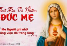 Thứ Bảy, Trái Tim Vô Nhiễm Đức Mẹ