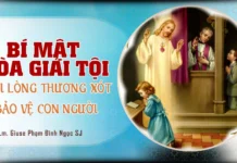 Bí Mật Tòa Giải Tội: Nơi Lòng Thương Xót Bảo Vệ Con Người
