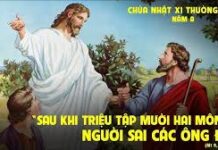 Chúa Nhật 11 Thường Niên