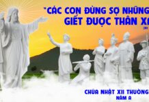 CHÚA NHẬT 12 THƯỜNG NIÊN