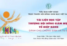 TÀI LIỆU HỌC TẬP THƯỢNG HỘI ĐỒNG GIÁM MỤC VỀ HIỆP HÀNH DÀNH CHO CHỦNG SINH VÀ TU SĨ