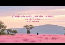 Suy Niệm Tin Mừng Chúa Nhật XII Thường Niên, Năm A: Số Phận Của Người Loan Báo Tin Mừng