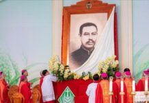 Những nốt lặng bên đài hoa Chân phước Phanxicô Xaviê Trương Bửu Diệp