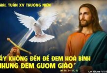Thứ Hai, tuần 15 Thường Niên