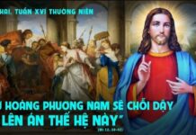 Thứ Hai, tuần 16 Thường Niên