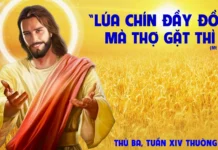 Thứ Ba tuần 14 Thường Niên