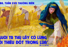 Thứ Ba, tuần 17 Thường Niên