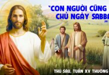 Thứ Sáu tuần 15 Thường Niên