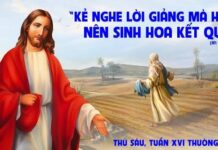 Thứ Sáu, tuần 16 Thường Niên