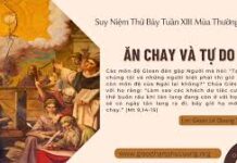 Thứ Bảy đầu tháng. Tuần 13 Thường Niên
