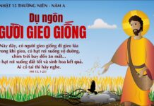 CHÚA NHẬT 15 THƯỜNG NIÊN