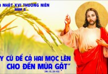 CHÚA NHẬT 16 THƯỜNG NIÊN