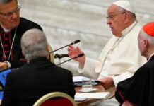 Các Giáo hội địa phương là trung tâm thực thi Thượng Hội đồng, không phải Roma