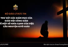 BỘ GIÁO LÝ ĐỨC TIN: THƯ GỬI CÁC GIÁM MỤC CỦA GIÁO HỘI CÔNG GIÁO VỀ MỘT SỐ KHÍA CẠNH CỦA VIỆC CẦU NGUYỆN KITÔ GIÁO – ORATIONIS FORMAS
