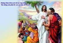 Suy Niệm Tin Mừng Chúa Nhật XVIII Thường Niên, Năm A: “CHÍNH ANH EM HÃY CHO HỌ ĂN” (Mt 14, 16)