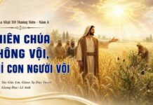 Thiên Chúa không vội, chỉ con người vội