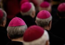 “Dicastery” Là Gì?