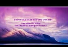 Suy Niệm Tin Mừng Chúa Nhật XXI Thường Niên, Năm A: “Chính Cha Thầy Bảo Cho Con Biết”