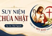 Chúa Nhật XXI Thường Niên Năm A: Đức Kitô Xây Dựng Hội Thánh Của Người