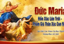 Đức Maria Hồn Xác Lên Trời – Vinh Quang Của Phẩm Giá Con Người