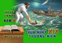 CHÚA NHẬT 19 THƯỜNG NIÊN