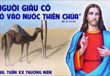 Thứ Ba, tuần 20 Thường Niên