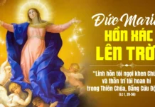 Thứ Bảy, Lễ ĐỨC MẸ LÊN TRỜI.