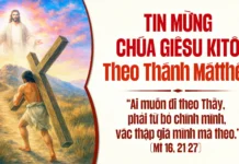 CHÚA NHẬT 22 THƯỜNG NIÊN