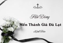 Ai Tín: Xin Hợp Ý Cầu Nguyện Cho Thân Mẫu Chị Maria Nguyễn Thị Chí Liên và Chị Maria Nguyễn Thị Liên Huyền