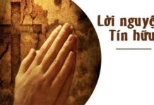 LỜI NGUYỆN TÍN HỮU – CHÚA NHẬT XXII THƯỜNG NIÊN – NĂM A
