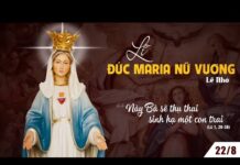 Thứ Bảy, Tuần XX TN: Đức Maria Nữ Vương.