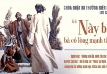 CHÚA NHẬT 20 THƯỜNG NIÊN